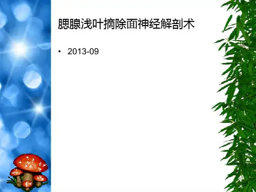 腮腺浅叶摘除面神经解剖术