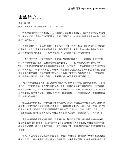 蜜蜂的启示