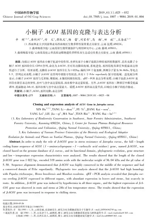 小桐子ACO1基因的克隆与表达分析