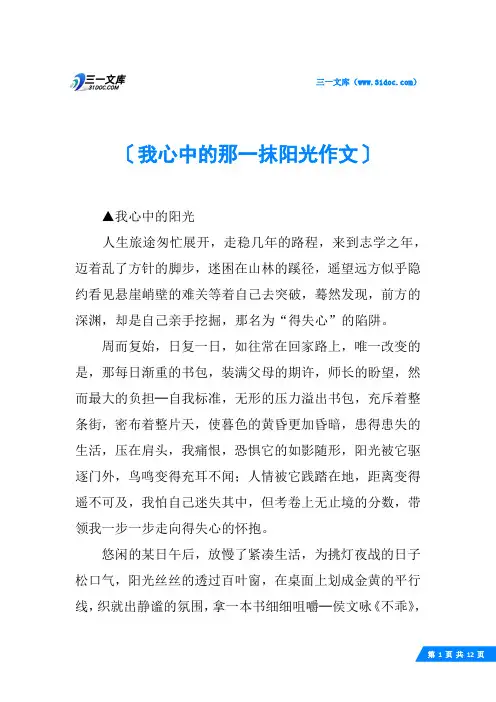 我心中的那一抹阳光作文 2