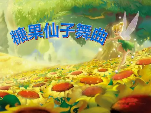 《糖果仙人舞曲》PPT课件3