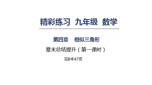 第四章 相似三角形 章末总结提升1