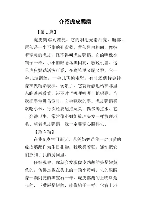 介绍虎皮鹦鹉