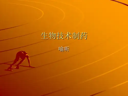 生物技术制药-01