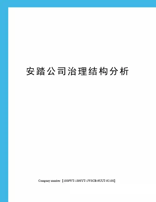 安踏公司治理结构分析