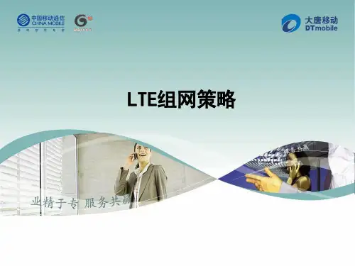 9LTE组网策略详解