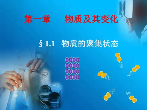 第一章 物质及其变化.