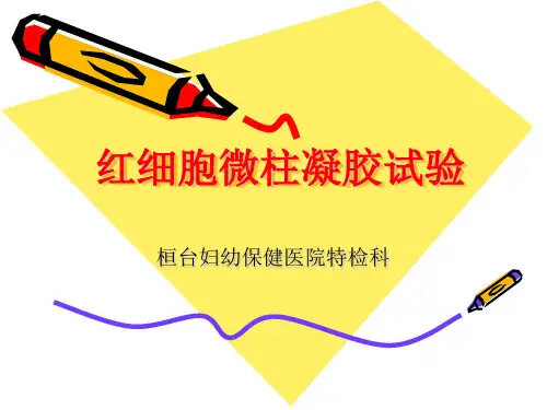 红细胞微柱凝胶试
