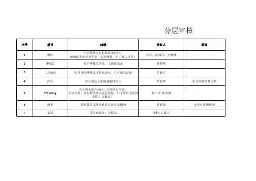 过程审核不符合项报告