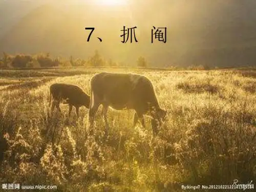 抓阄