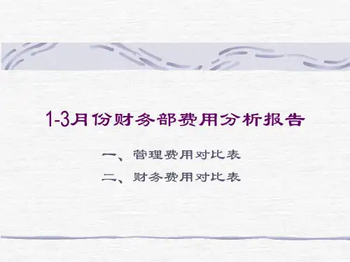 管理费用对比表21页PPT