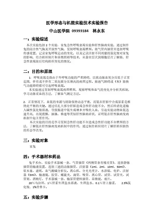 家兔肝性脑病实验报告