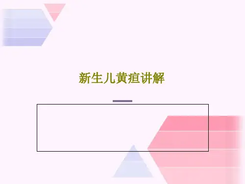 新生儿黄疸讲解共28页文档