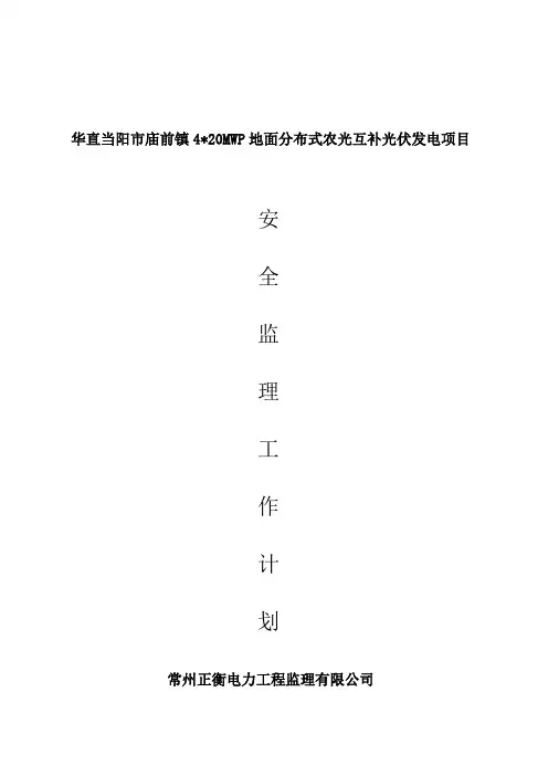 安全监理工作方案