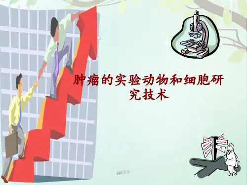 肿瘤的实验动物和细胞研究技术  ppt课件