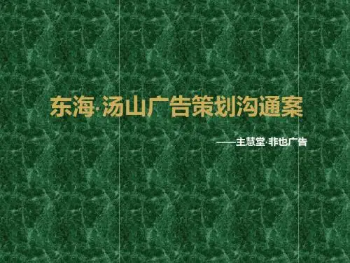 重庆东海·汤山广告策划沟通案