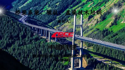桥梁系梁、墩柱、盖梁施工技术培训PPT课件
