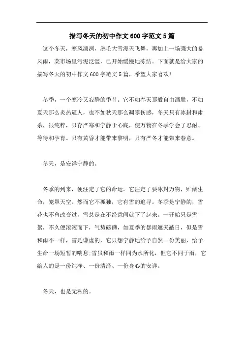 描写冬天的初中作文600字范文5篇