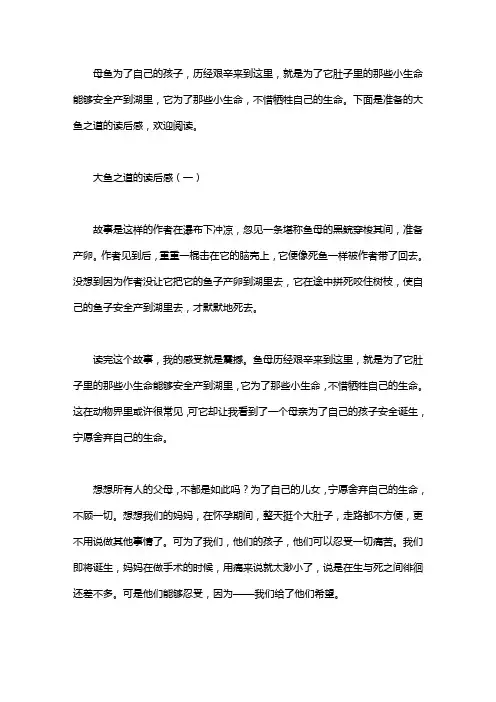 大鱼之道的读后感
