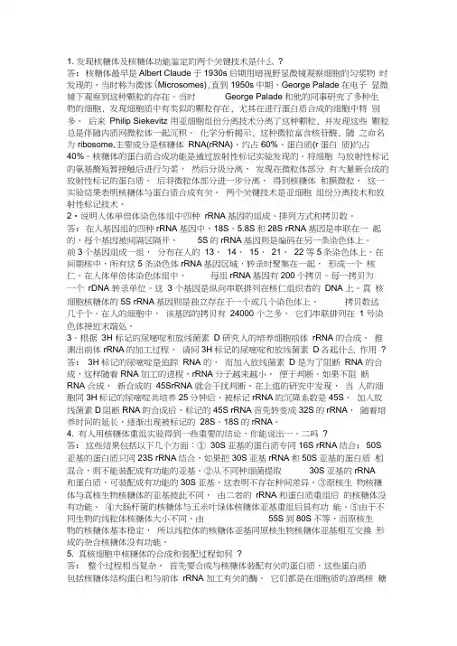 第六章核糖体和核酶
