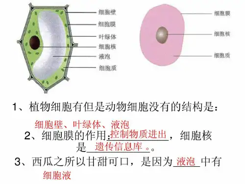 初中生物教材图片[资料]共37页文档