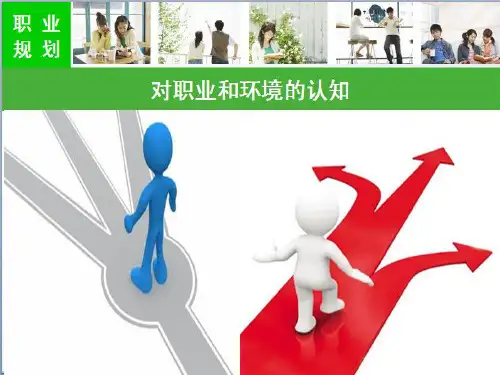 对职业和环境的认知