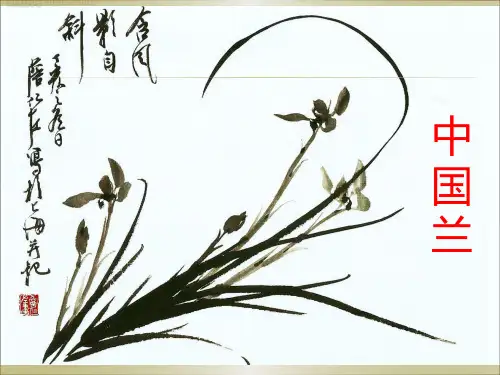 兰花----国兰介绍