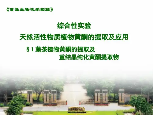 2---植物黄酮提取及重结晶