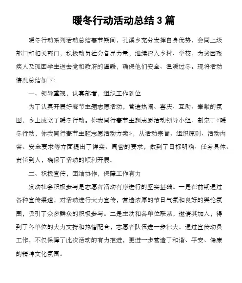 暖冬行动活动总结3篇