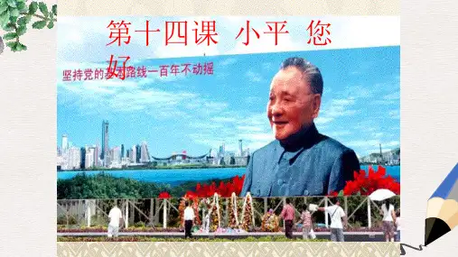 河北省保定市九年级政治全册 第五单元 国策经纬 第十四课 小平-您好课件 教科版