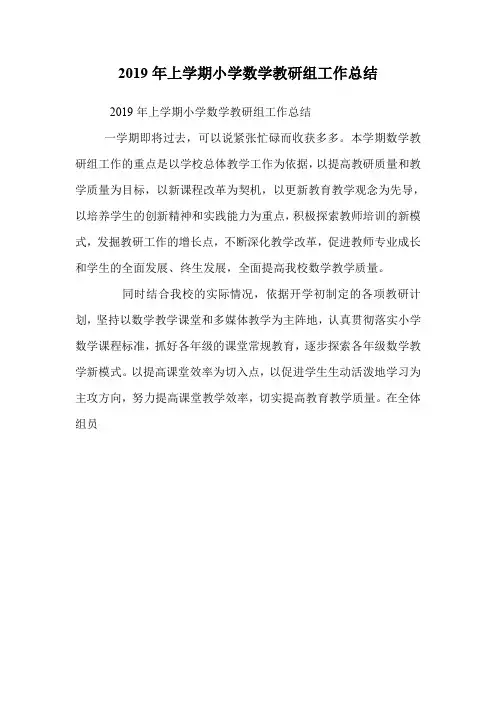 2019年上学期小学数学教研组工作总结