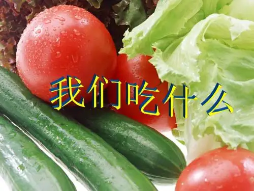 《我们吃什么》优质公开课课件