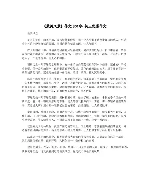 《最美风景》作文800字_初三优秀作文
