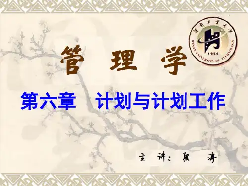 管理学(计划与计划工作)