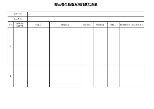 5S安全检查问题汇总表
