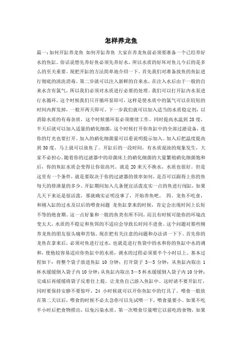 怎样养龙鱼