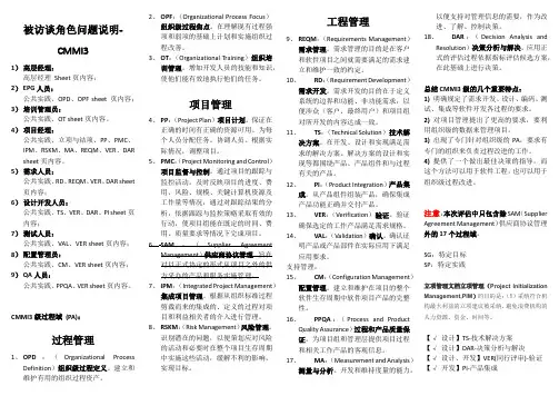 CMMI3级过程域(PA)