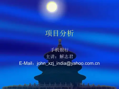 手机银行项目分析