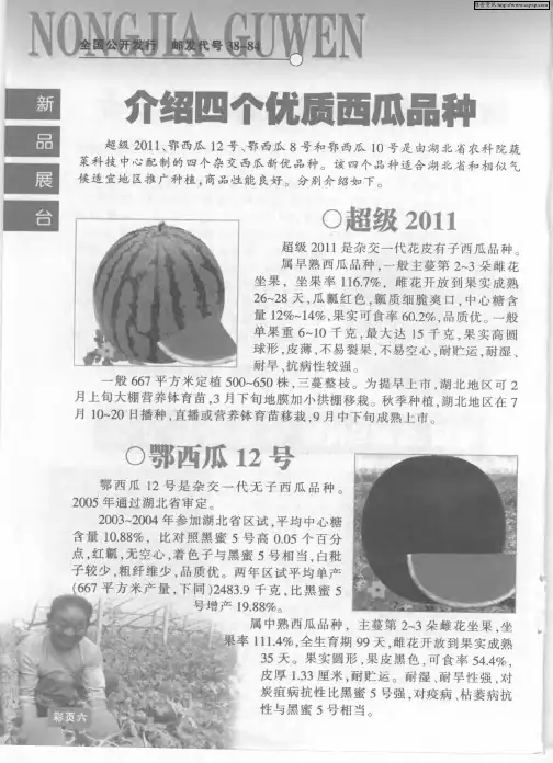 介绍四个优质西瓜品种