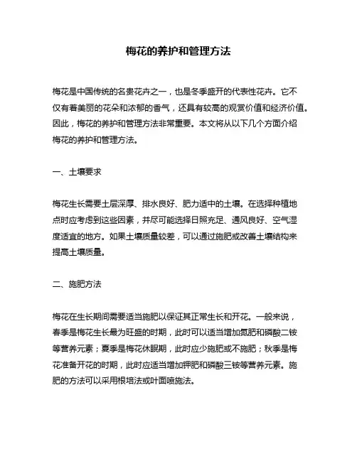 梅花的养护和管理方法