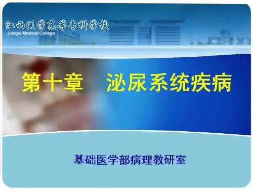 10--泌尿疾病h(1)