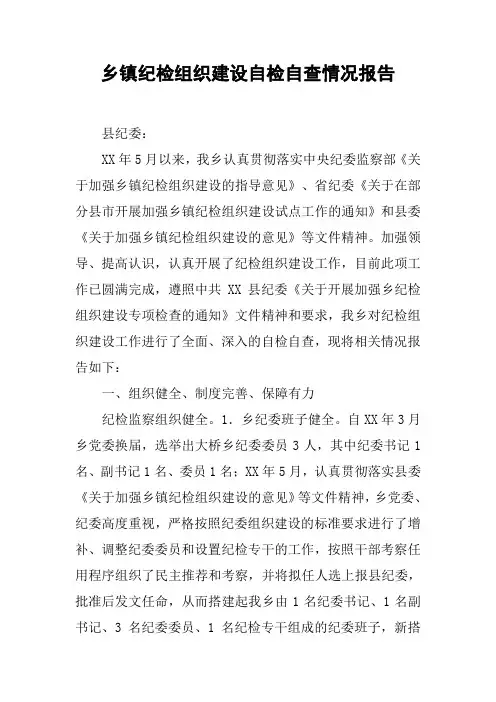 乡镇纪检组织建设自检自查情况报告