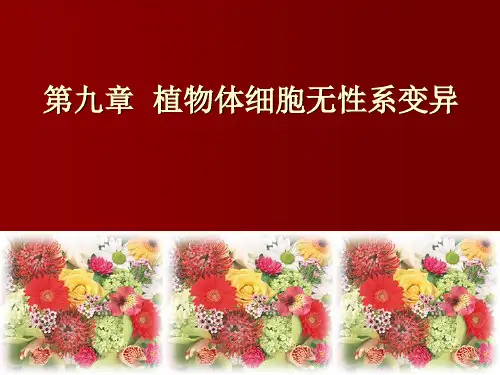 第九章植物体细胞无性系变异