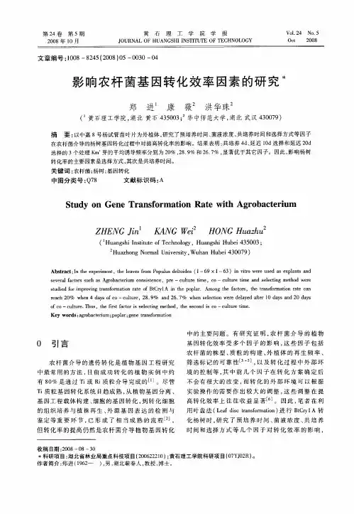 影响农杆菌基因转化效率因素的研究