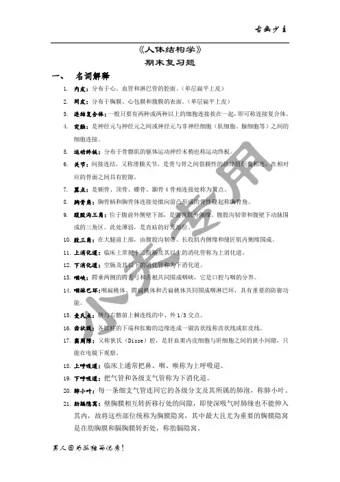 解剖学复习题