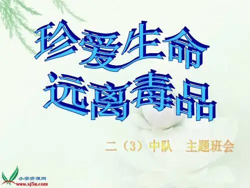 《珍爱生命 远离毒品》PPT课件