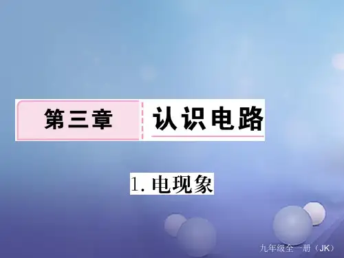 2017年秋九年级物理上册 3.1 电现象作业课件 (新版)教科版