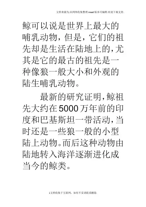鲸可以说是世界上最大的哺乳动物