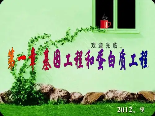 第一节 基因工程的原理