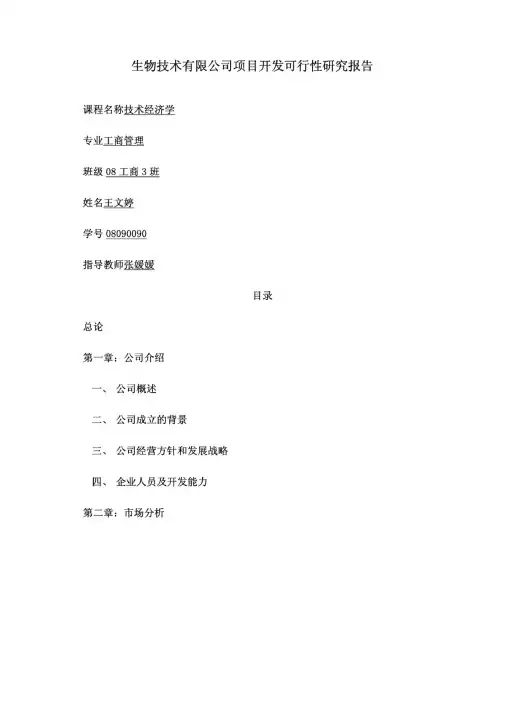 可行性研究报告范例